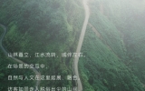 天友作品 | 塑造現代都市中的森林空間